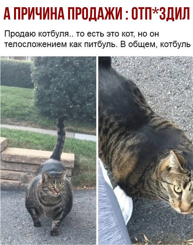 ������ - 13 ������� 2020 � 18:41