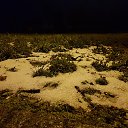  Alex, , 52  -  28  2021   
