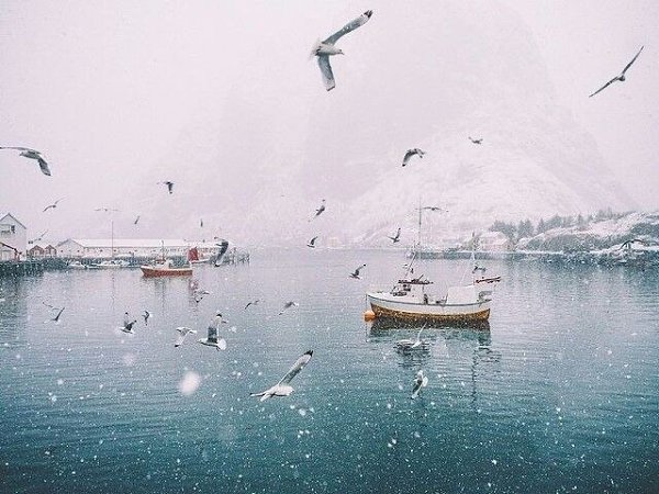 Lofoten, Norway