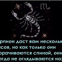 ���� �������, ������, 54 ���� - ��������� 19 ������ 2021 � ������ ������ ��������