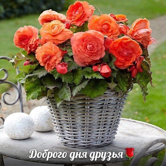   ,    . - 20  2020  13:36