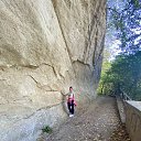 ���� ��������, ���������, 43 ���� - ��������� 15 ������� 2020 � ������ ���� ����������