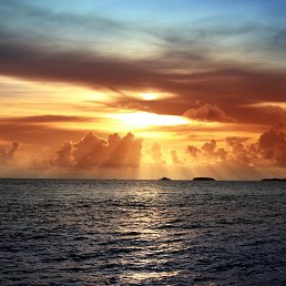 ���5��, ������