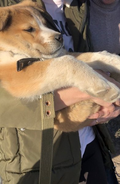      ,     ,      ... - 2