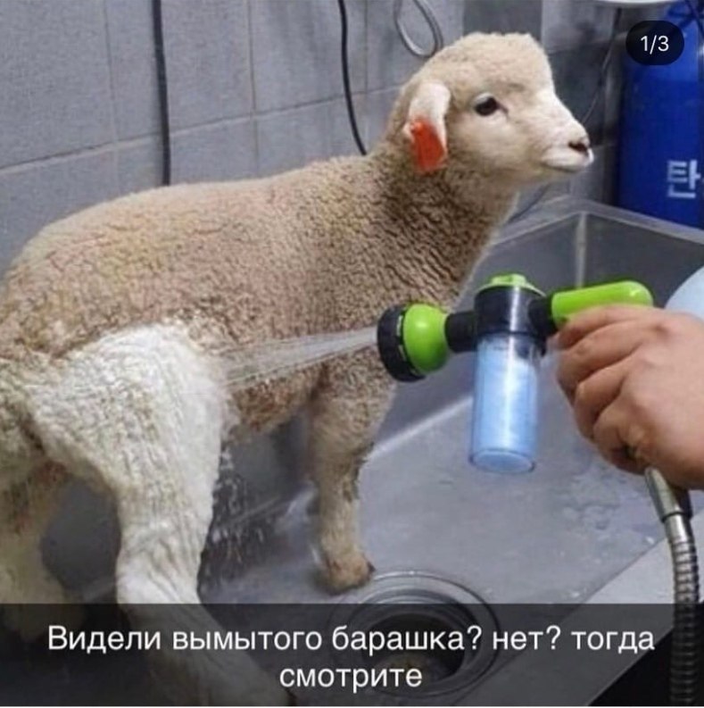     )
