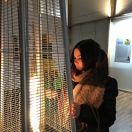 �������� ���� ����������