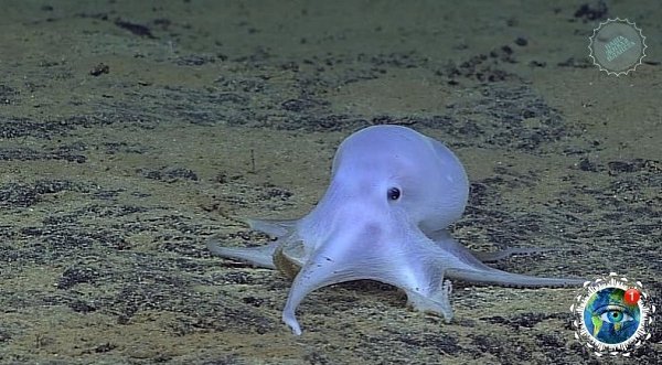 a   o   o pcoa a  co po, o a cao   ... - 4