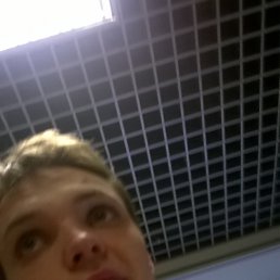 ��������, �����-���������, 33 ����