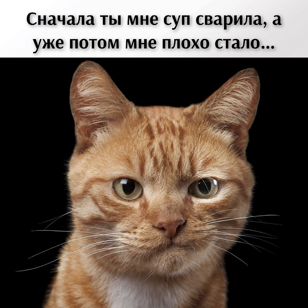       - 18  2021  11:54 - 3