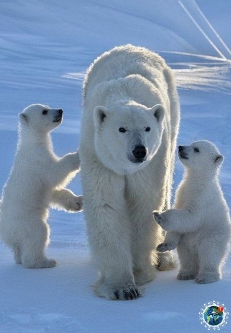 pace ee ee. - 3