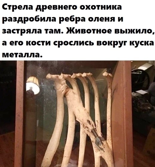 BEST | , ,  - 14  2020  18:44