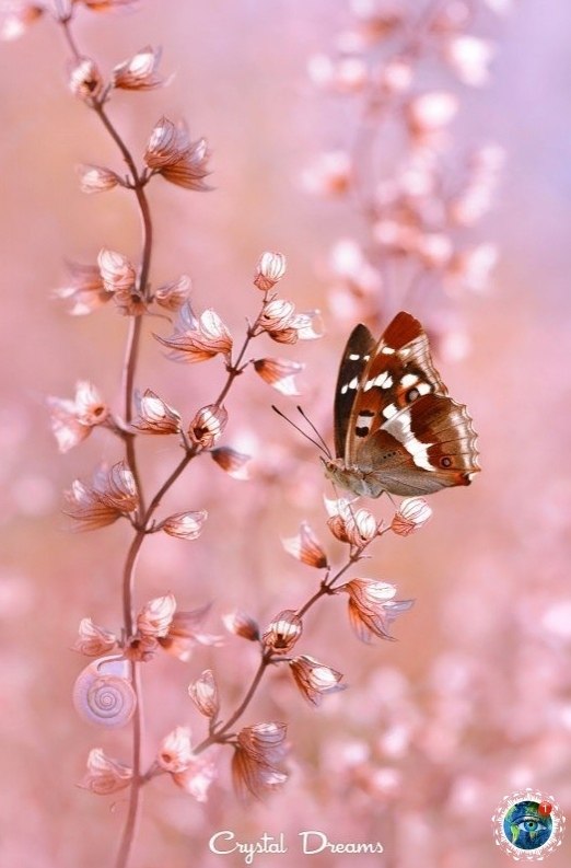  , o aa ec... epe cae pe !  - 6