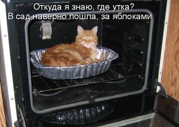    - 21  2021  04:18