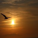 ���� ����, ���������, 38 ��� - ��������� 15 �������� 2020 � ������ ���� ����������