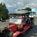 ���� �����, ������������� - ��������� 24 �������� 2020 � ������ ���� ����������