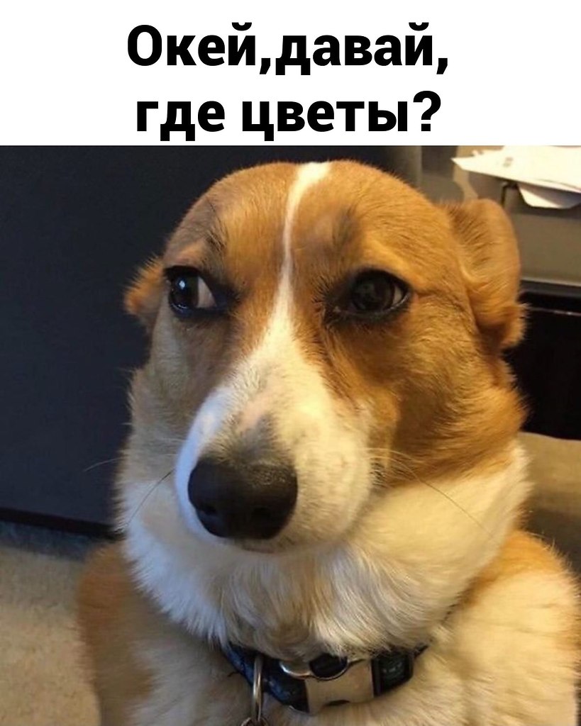                  . - 2