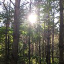 ���� Irinka, �������� - ��������� 21 ������� 2020 � ������ ���� ����������