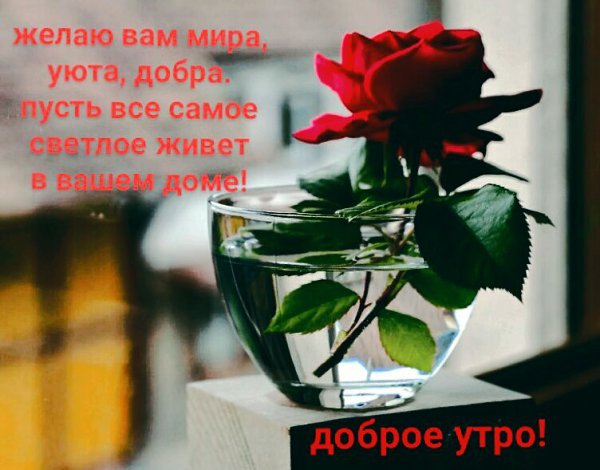   ,    . - 27  2020  00:32 - 10