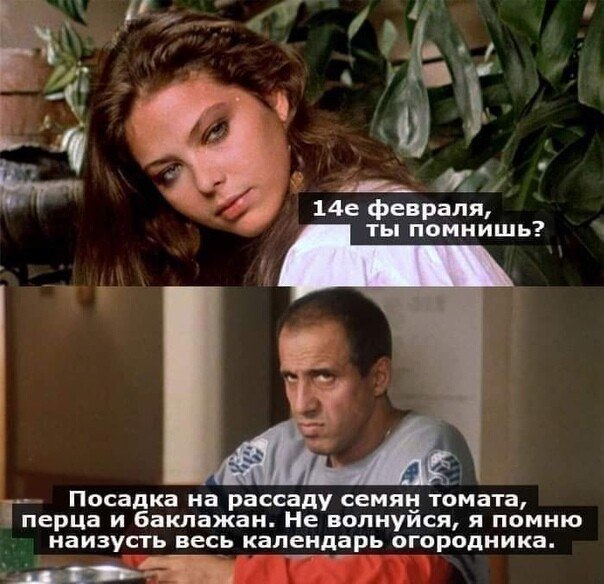 ***Victoria Viktorovna*** - 12  2021  16:00