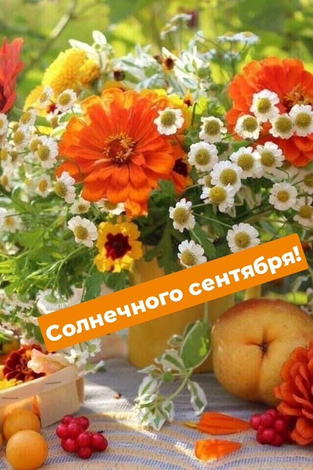   ,    . - 6  2020  12:44