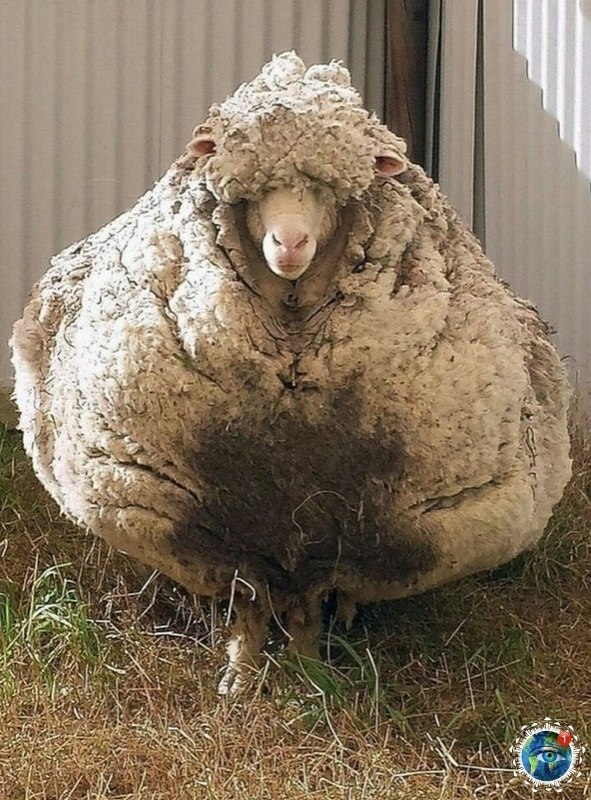 o o e, ec e cp o ecoo e. a aa oepac  cpa  ae o e ... - 2