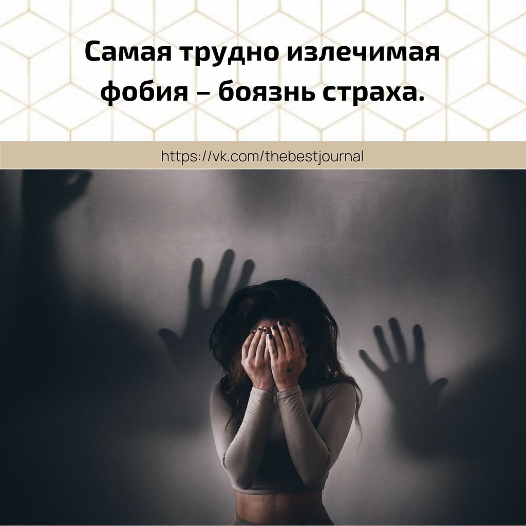BEST | , ,  - 24  2021  08:14