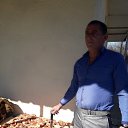 ���� ����, ������, 55 ��� - ��������� 22 ������� 2020 � ������ ���� ����������