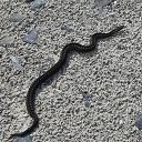 ���� ����, ������ - ��������� 5 ������� 2021