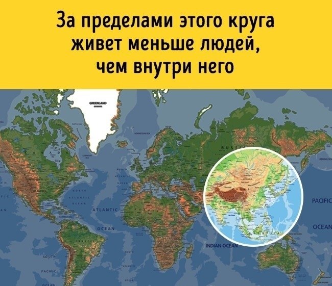   ,       .
