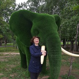 ���� �������, ��������� - ��������� 11 ������� 2020