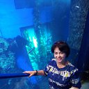 ���� ����, ���������, 49 ��� - ��������� 14 ������ 2021 � ������ ���� ����������