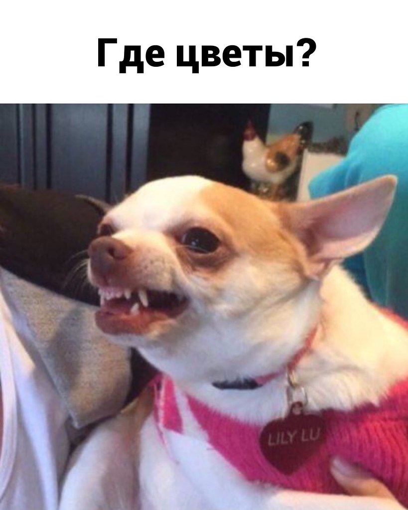                  . - 4