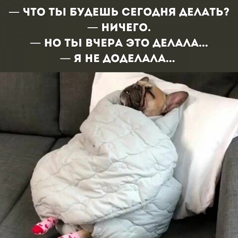   ! - 14  2021  11:41
