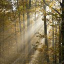 ���� ��������, �����-���������, 60 ��� - ��������� 1 �������� 2020 � ������ ������ ��������