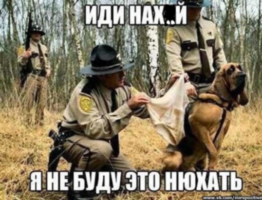   ,   !