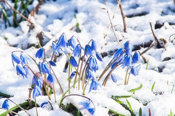   - 1  2021  16:35