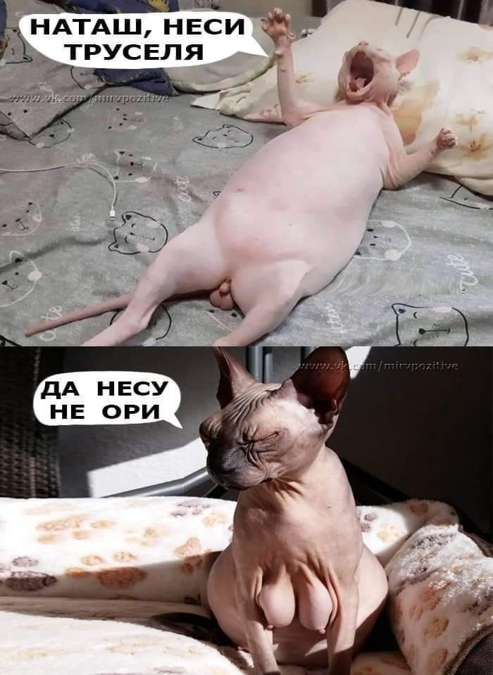 - 31  2020  20:12