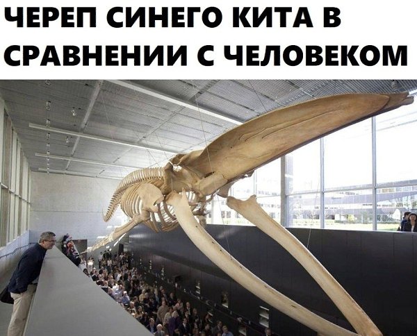 BEST | , ,  - 27  2020  19:07