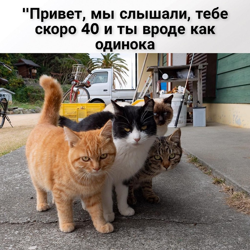       - 9  2021  18:18