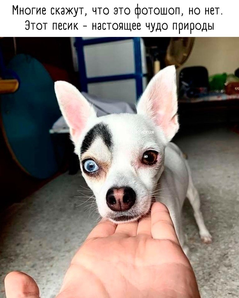     !   .