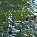  ,  -  18  2020    2020.