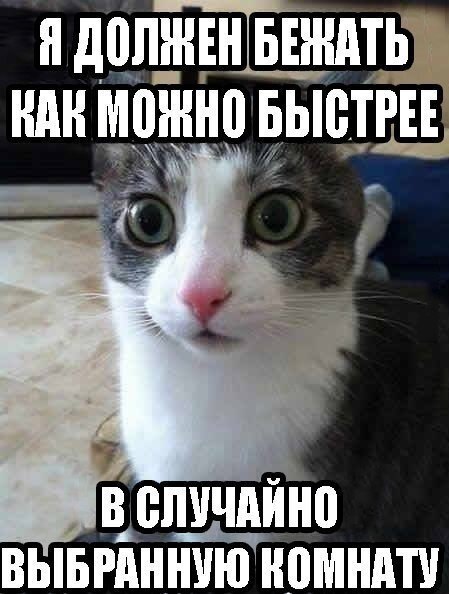    - 5  2021  16:36