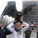 ���� �����, ��������, 56 ��� - ��������� 13 ������ 2020