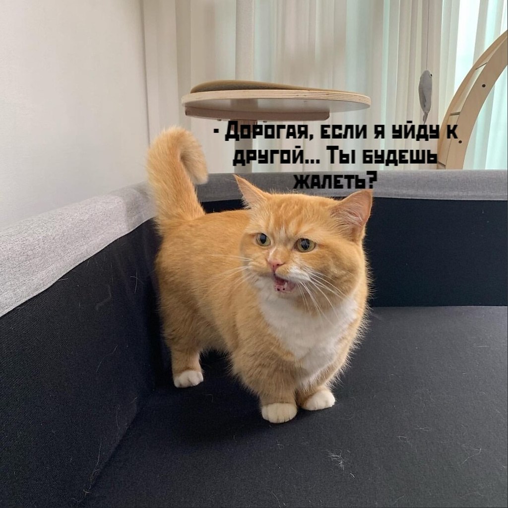       - 24  2020  18:42