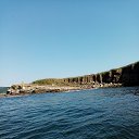  Vladimir, , 74  -  11  2020    