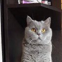 ���� ������ �� ���!, ������ - ��������� 25 ����� 2021 � ������ ������ ��������