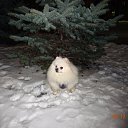 ���� Viktor, �����-��������� - ��������� 10 ������ 2021 � ������ ���� ����������