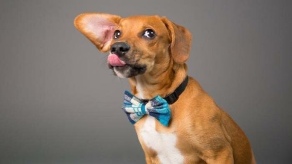 ������ - 8 �������� 2020 � 19:25