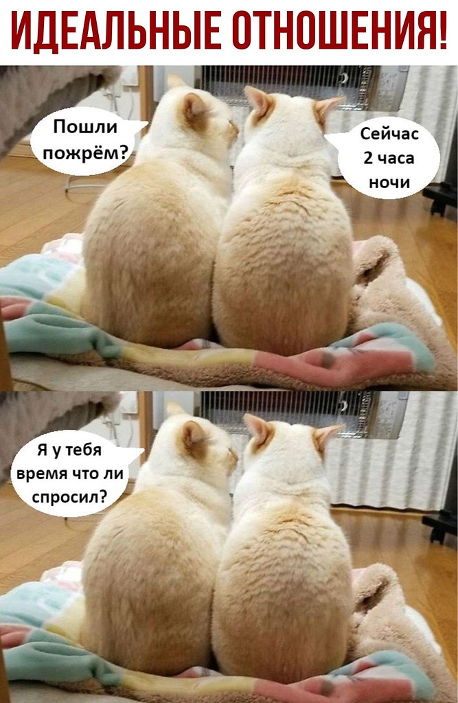  - 17  2020  20:44