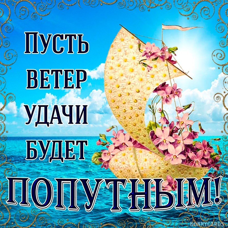   ,    . - 24  2020  14:35 - 4